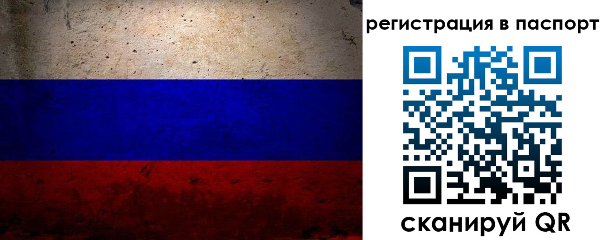 купить прописку в Покрове