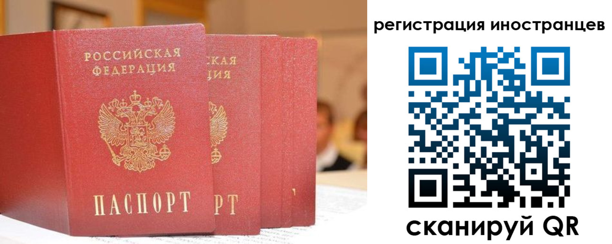 где прописаться в Покрове