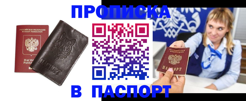 где прописаться в Покрове